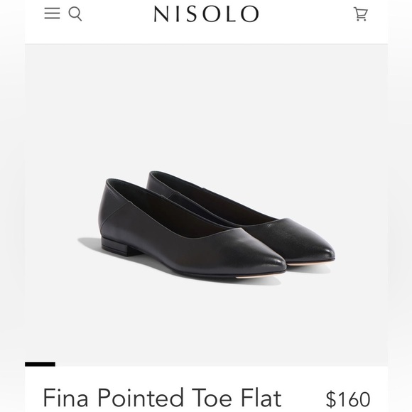 Nisolo Shoes - Nisolo New in Box Black Fina Pointed Toe Leather Flats Size 10